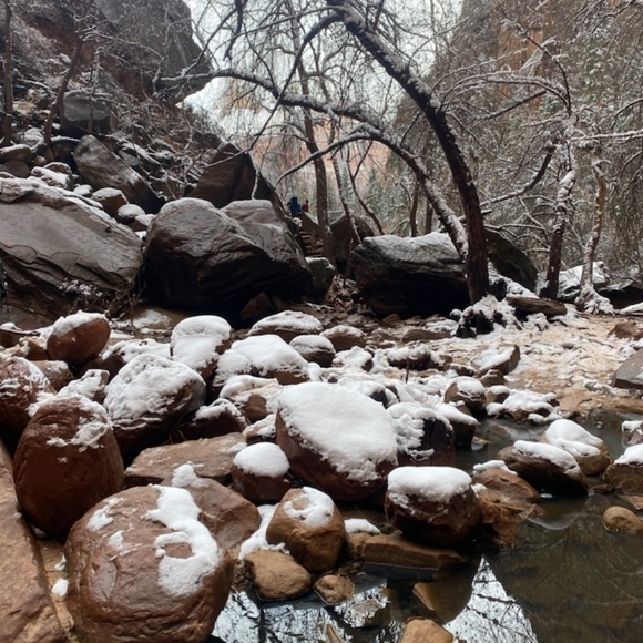 Meet your Posher, Johnny - Picture 6 of 16